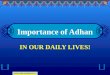 Importance of Adhan