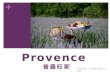 Provence  普羅旺斯