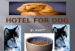 HotEL  FOR DOG
