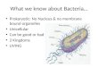 What we know about Bacteria…