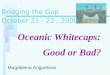 Oceanic Whitecaps:           Good or Bad?