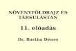 NÖVÉNYFÖLDRAJZ ÉS TÁRSULÁSTAN 11. előadás Dr. Bartha Dénes