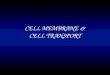 CELL MEMBRANE & CELL TRANSPORT
