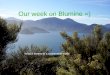 Our week on Blumine =)