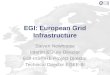 EGI: European  Grid Infrastructure