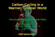 Carbon Cycling in a Warmer, Greener World