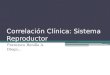 Correlación Clínica: Sistema Reproductor