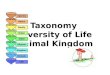 Taxonomy  Diversity of Life Animal Kingdom
