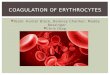 Coagulation of erythrocytes