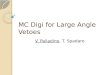 MC  Digi  for Large Angle Vetoes