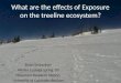 What are the  effects  of Exposure on the treeline ecosystem?