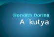 Horváth Dorina