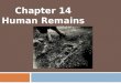 Chapter  14 Human Remains