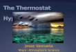 The Thermostat Hypothesis