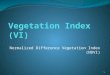Vegetation Index (VI)
