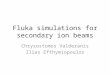 Fluka  simulations for secondary ion beams