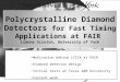 Motivation behind LYCCA at FAIR Diamond detector design Initial tests at Texas A&M University