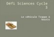 Défi Sciences Cycle 3