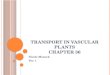 Transport in Vascular Plants Chapter 36