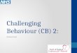 Challenging  Behaviour  (CB) 2: