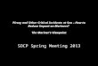 SOCP Spring Meeting 2013