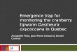 Emergence  trap  for monitoring the  cranberry  tipworm  Dasineura oxycoccana in  Quebec
