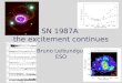 SN 1987A  the excitement continues