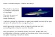 Class :  Chondrichthyes  - Sharks and Rays