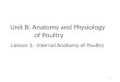 Unit B: Anatomy and Physiology of Poultry