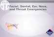 Facial, Dental, Ear, Nose, and Throat Emergencies