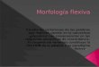 Morfología flexiva
