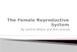 The Female Reproductive  System