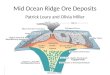 Mid Ocean Ridge Ore Deposits