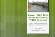 Lower Wild Rice River Turbidity: TMDL Critique
