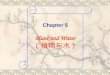 Chapter 5 Plant and Water （ 植物与水 ）