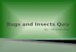 Bugs and Insects Quiz