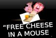 “FREE CHEESE IN A MOUSE TRAP”