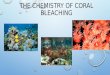 The Chemistry OF Coral Bleaching