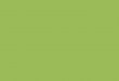 Chlorophyta – The Green Algae