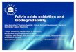 Fulvic  acids oxidation and biodegradability