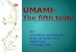 UMAMI-  The fifth taste