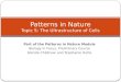Patterns in Nature Topic  5: The Ultrastructure of Cells