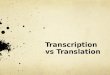 Transcription  vs  Translation