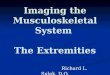 Imaging the Musculoskeletal System  The Extremities