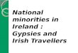 National  minorities in  Ireland : Gypsies  and Irish  Travellers