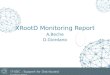 XRootD  Monitoring Report A.Beche D.Giordano