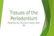 Tissues of the  Periodontium