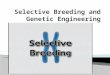 Selective Breeding and Genetic Engineering
