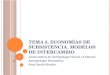 Tema 3. Economías de Subsistencia. Modelos de intercambio