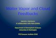 Water Vapor and Cloud Feedbacks